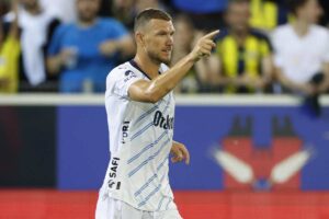 Edin Dzeko esulta