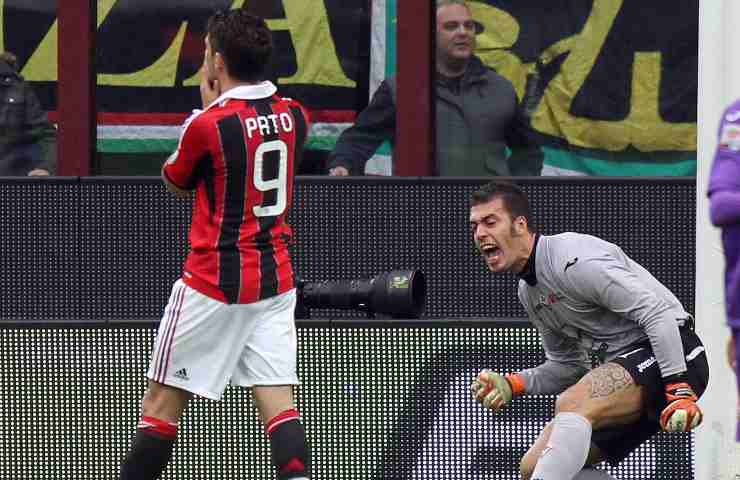 Pato si dispera