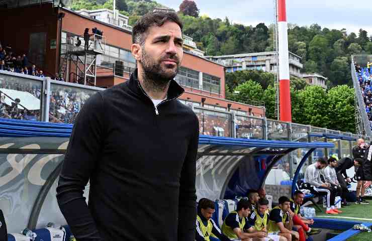 Cesc Fabregas