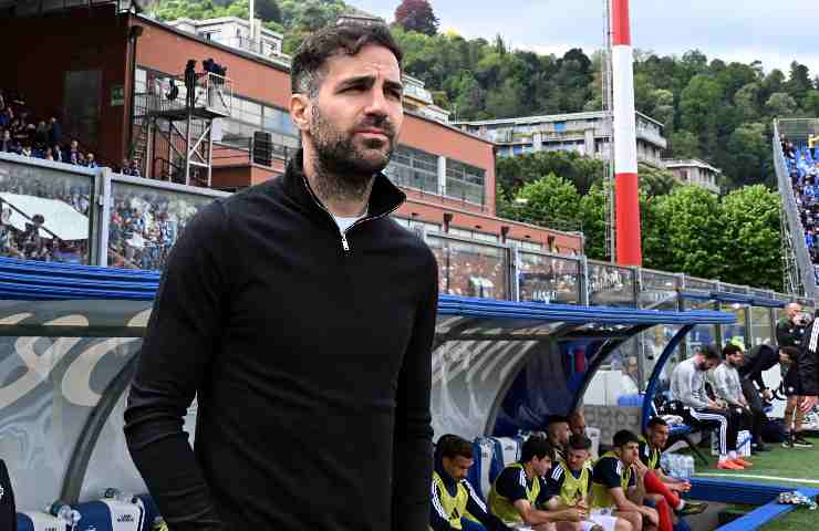 Fabregas in primo piano