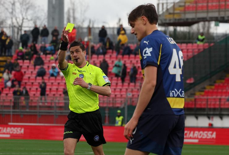 leoni ammonito col parma