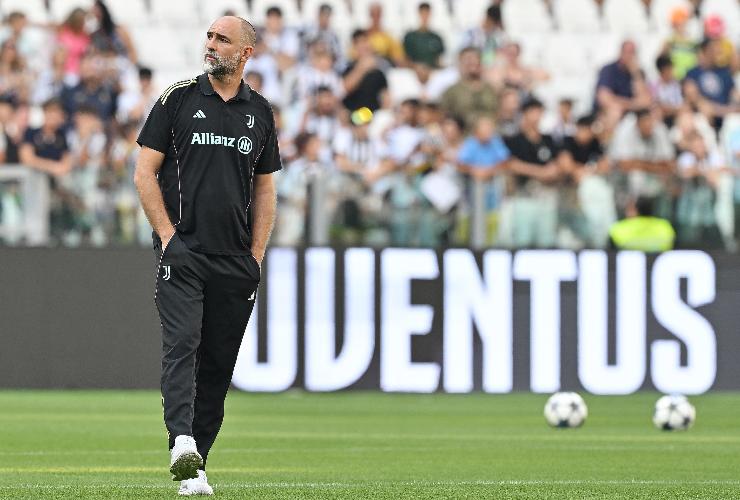 tudor in campo