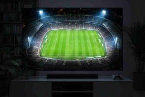 Il campo visto dall'alto