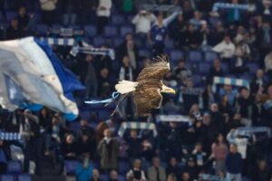 I tifosi della Lazio